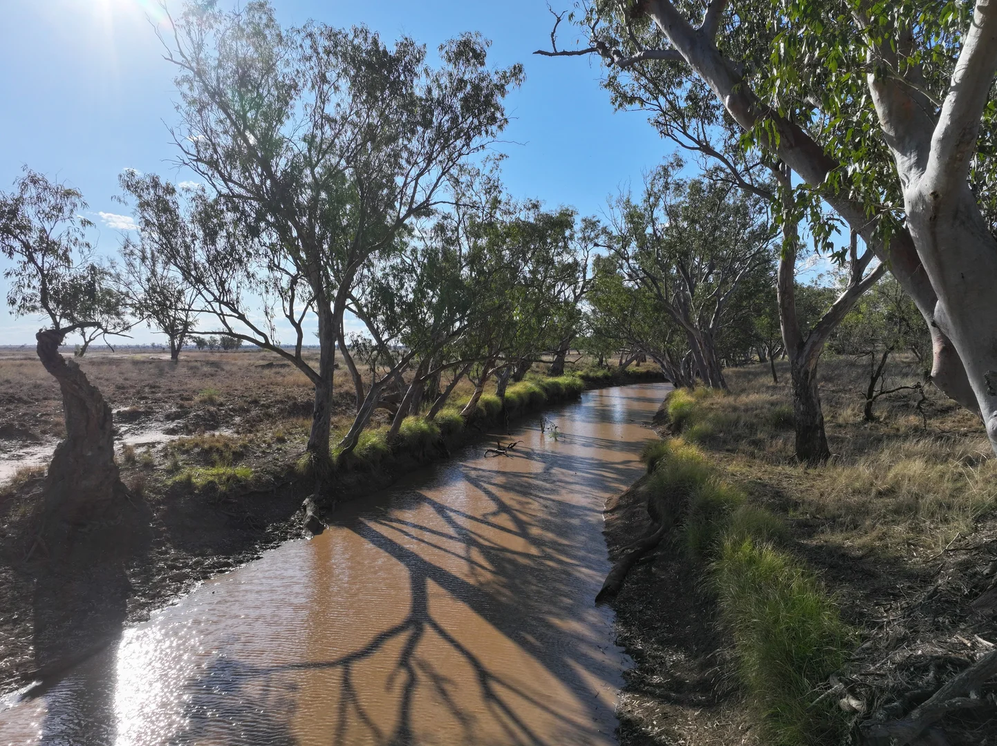 Additional image 15 of "Savannah" 438 Megine Road, Roma QLD 4455