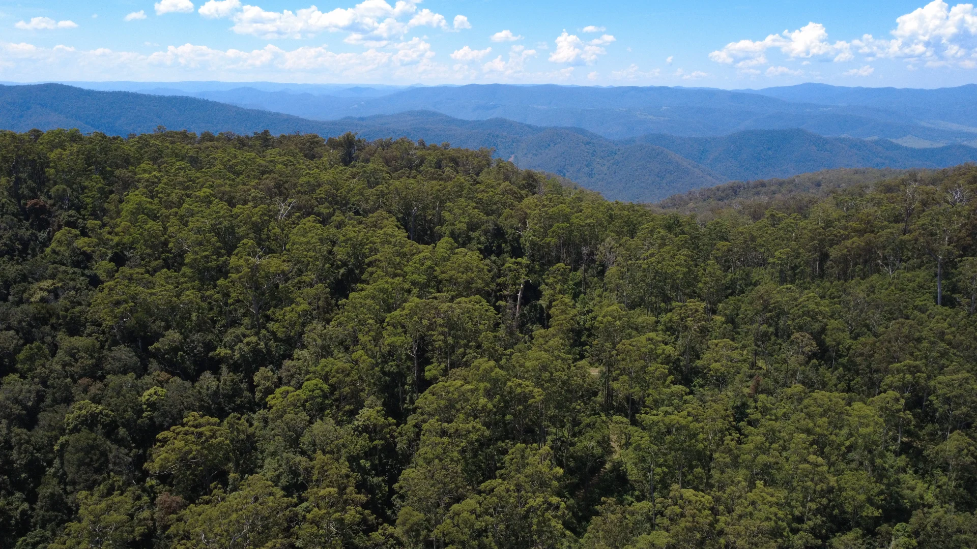 Additional image 17 of Baxters Ridge Road, Gloucester NSW 2422