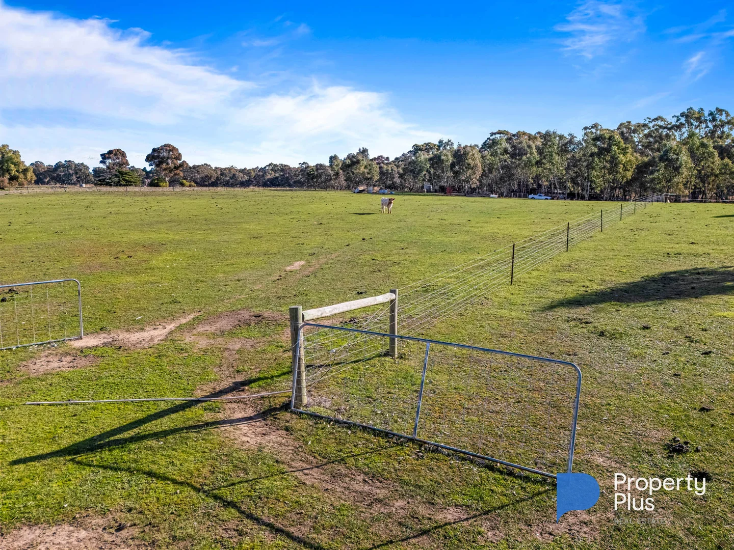 Additional image 5 of 20 Kayes Road, Craigie VIC 3465