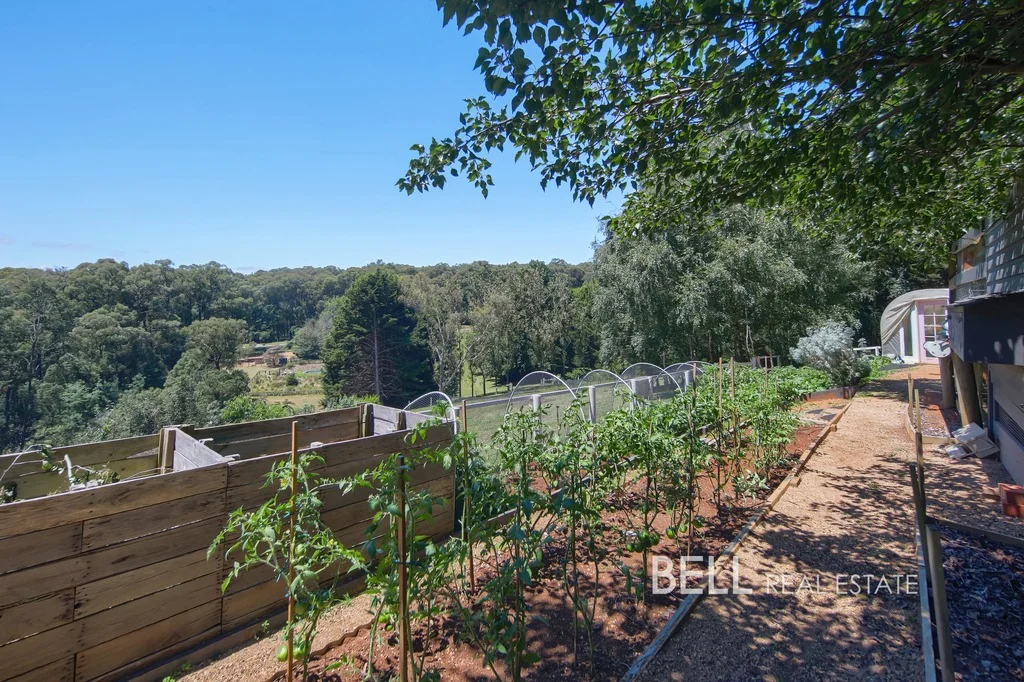 Additional image 17 of 74 Beenak Road, Gembrook VIC 3783