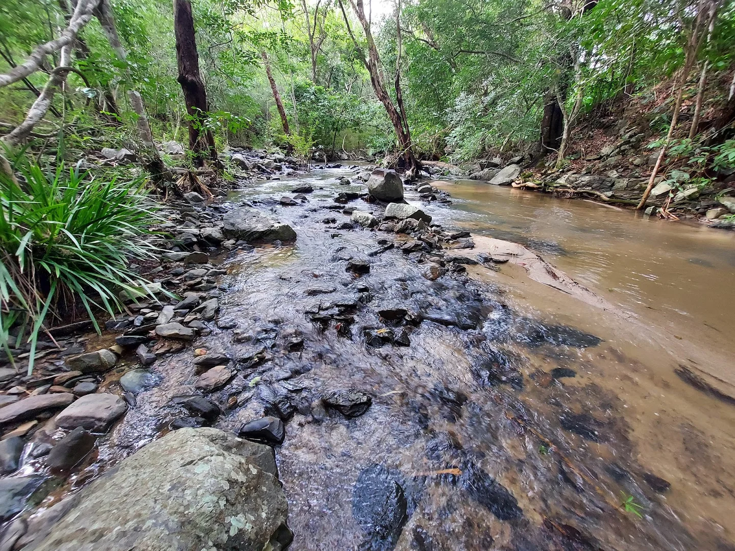 Additional image 8 of 2356 Mulligan Highway, Rossville QLD 4895