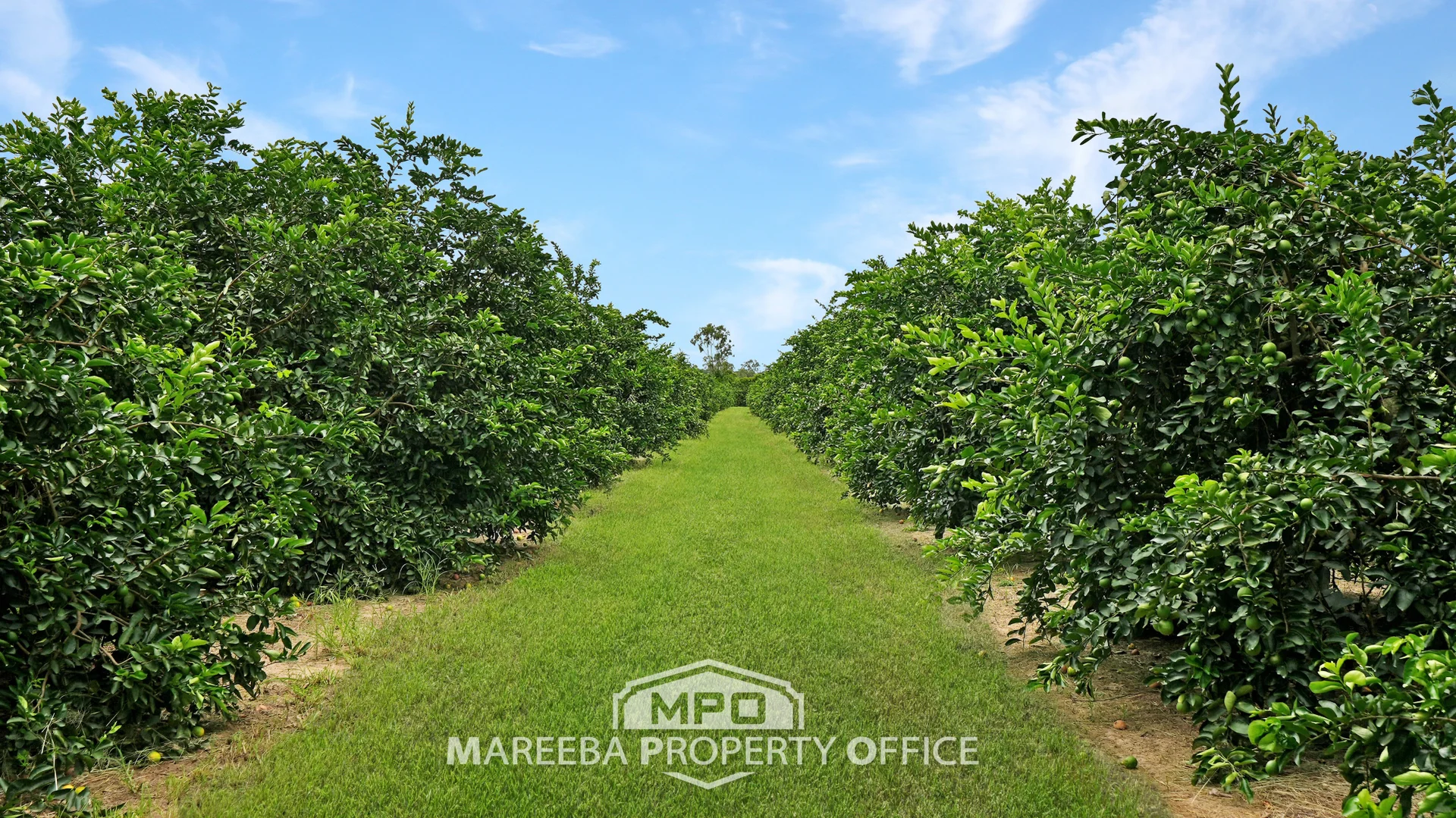 Additional image 10 of 4283 Kennedy Highway, Mareeba QLD 4880