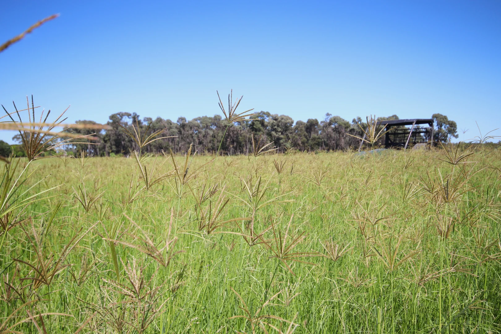 Additional image 16 of 'Aura Park' North Pattens Road, Boynewood, Mundubbera QLD 4626