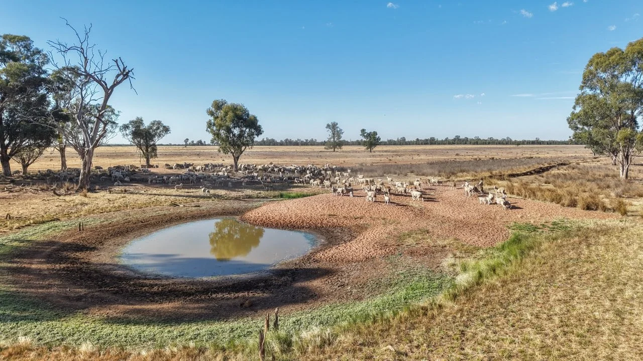 Additional image 15 of 2633 Bruie Plains Road, Bruie Plains NSW 2875