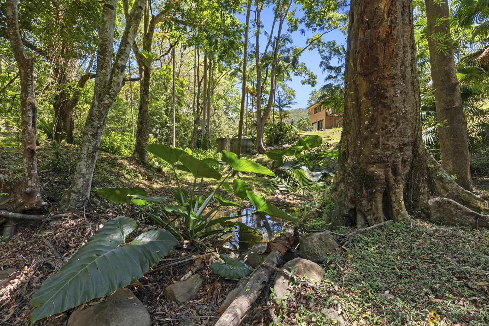 Additional image 9 of 126 Harwood Road, Burringbar NSW 2483
