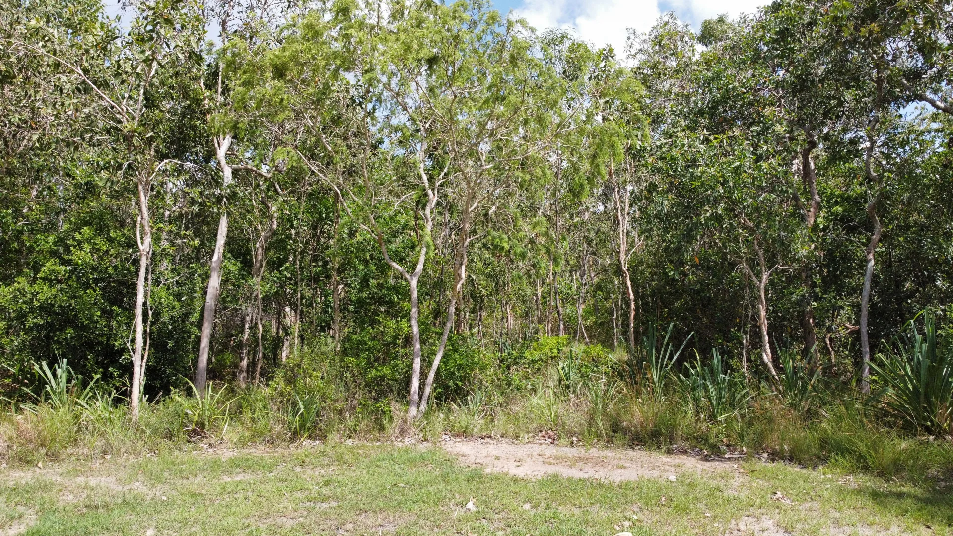 Additional image 6 of Lot 30 Conder Pde ( Bangaru ), Laguna Quays QLD 4800