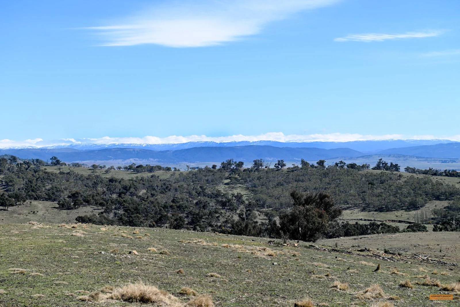 Additional image 20 of "The Top Paddock" Bairds Crossing Road, Dalgety NSW 2628