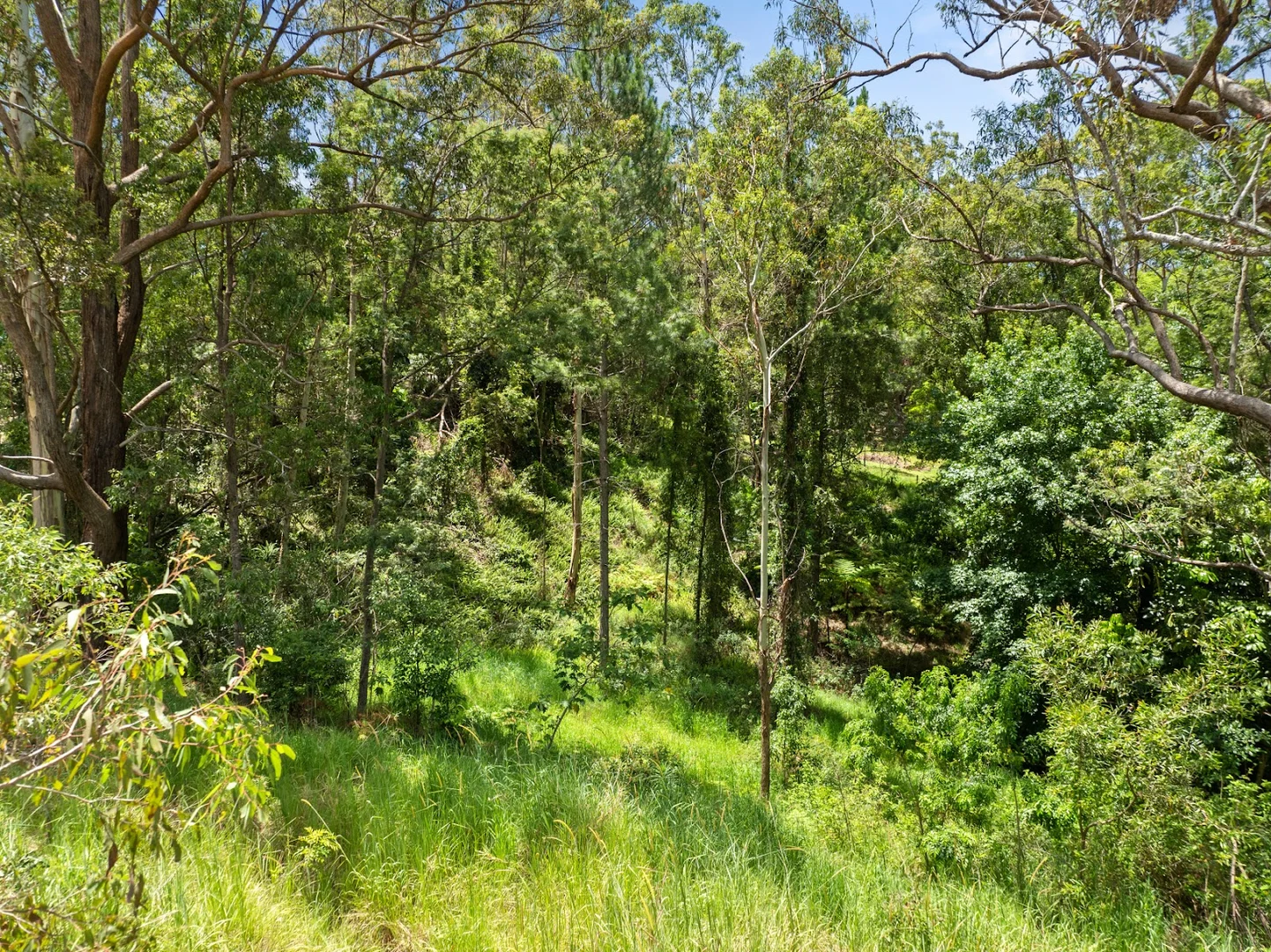 Additional image 16 of 612-618 Henri Robert Drive, Tamborine Mountain QLD 4272