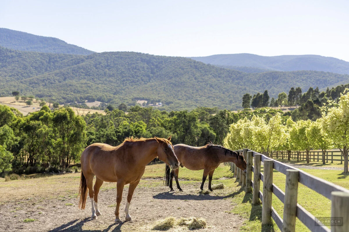 Additional image 25 of 159 Cunninghams Road, Chum Creek VIC 3777