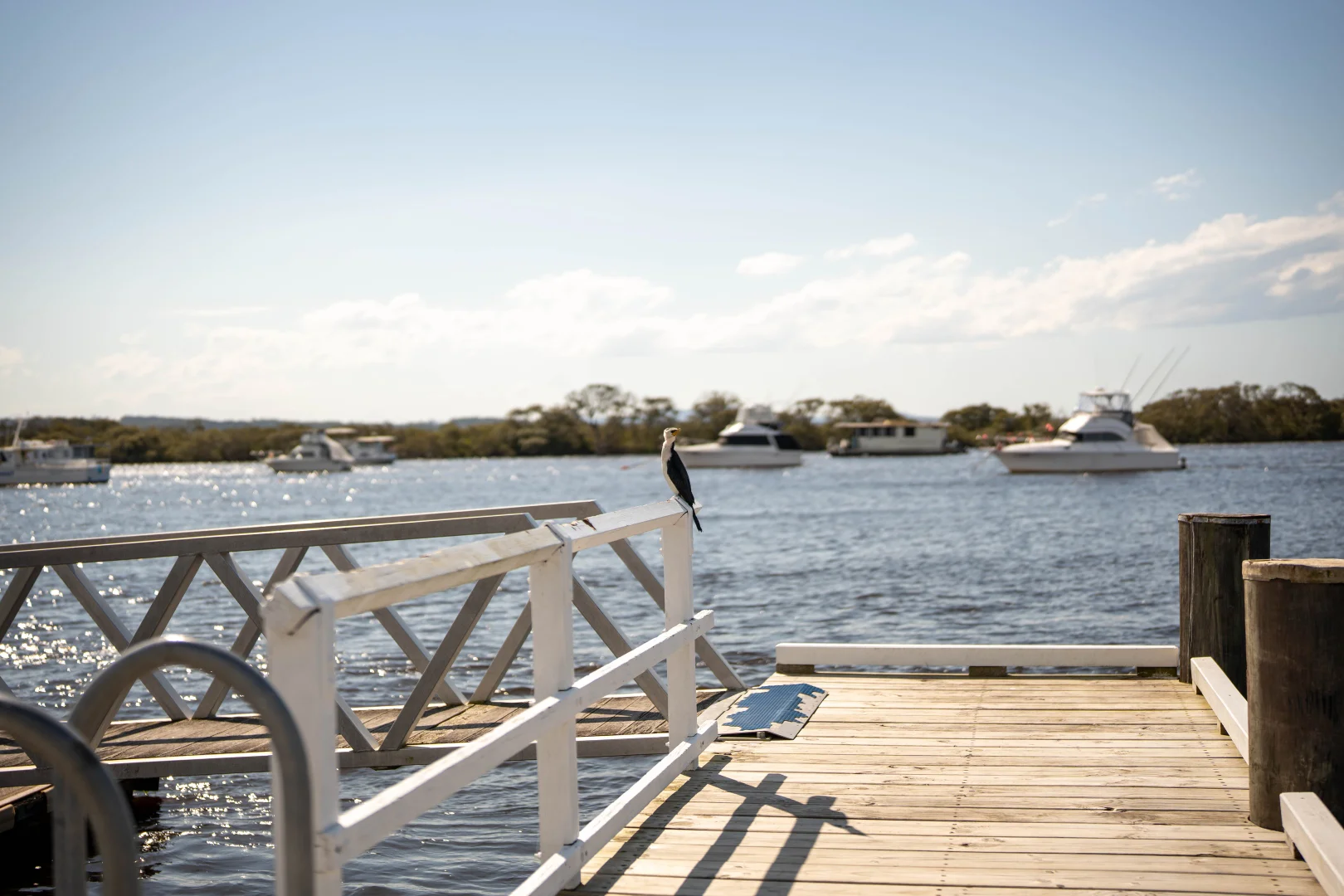 Additional image 15 of 219 (Lot 1 Myall Street, Tea Gardens NSW 2324