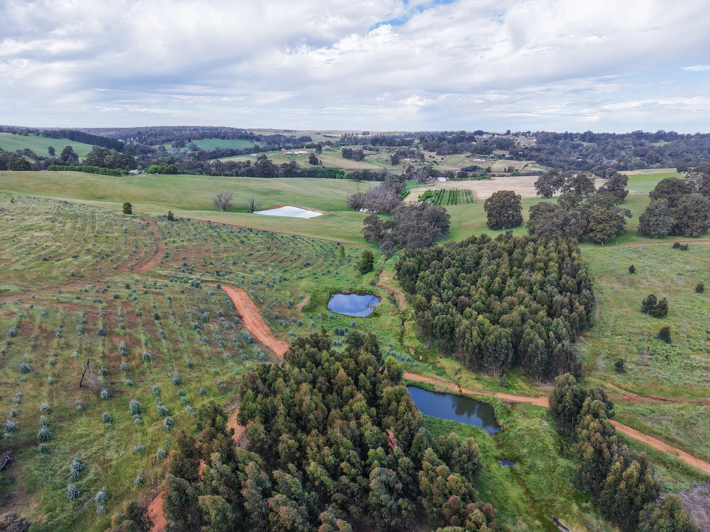 Additional image 17 of Lot 1251 Peninsula Road, Bridgetown WA 6255