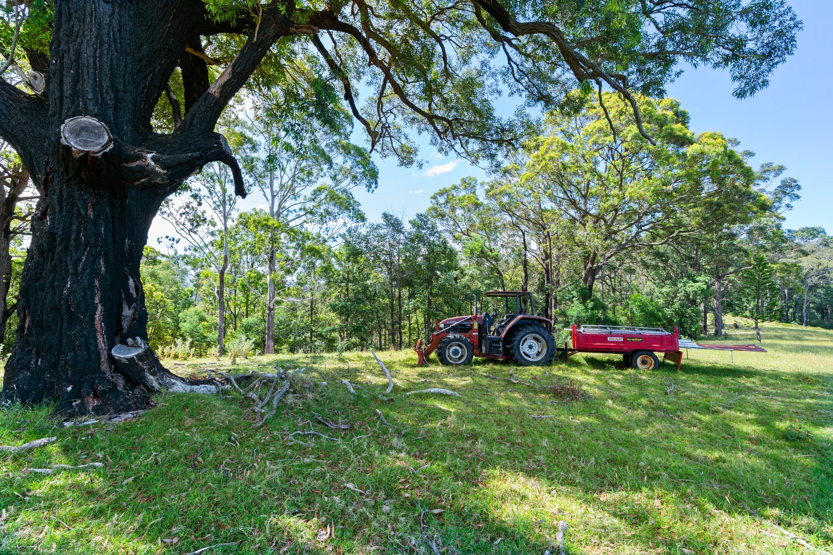 Additional image 9 of 106C Porters Creek Road, Yatte Yattah NSW 2539