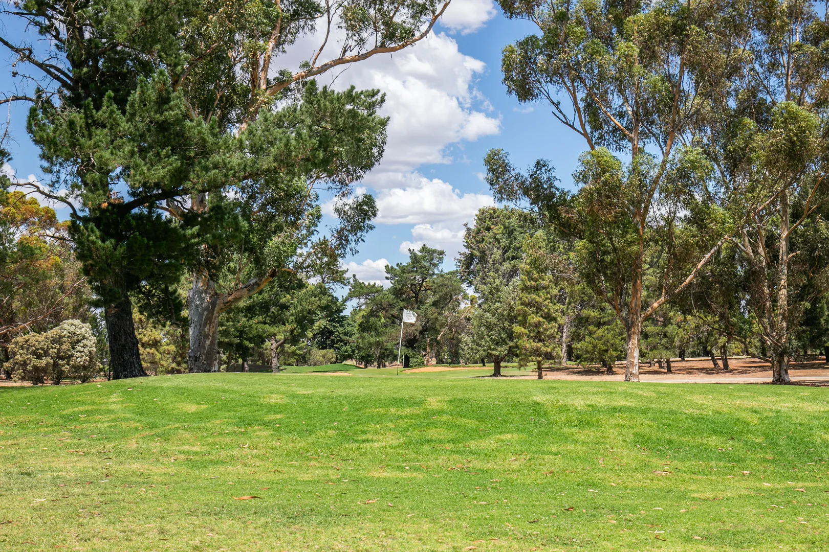 Additional image 3 of 81 Standen Street, Murray Bridge SA 5253