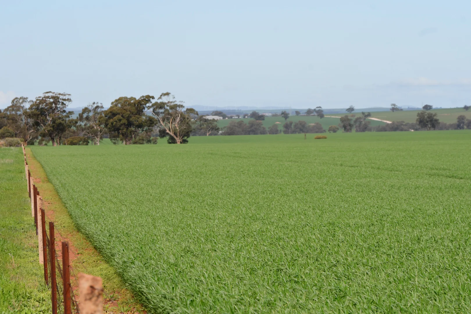 Additional image 7 of 172 Cowin Road, Melrose SA 5483