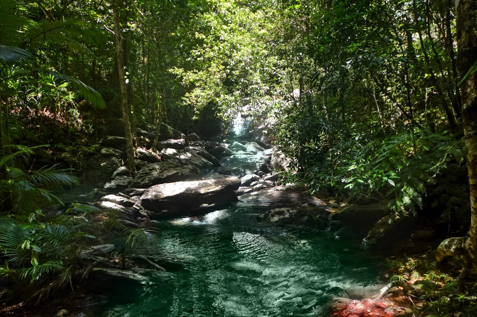 Additional image 3 of 51 Waterfall Place, Jubilee Heights QLD 4860