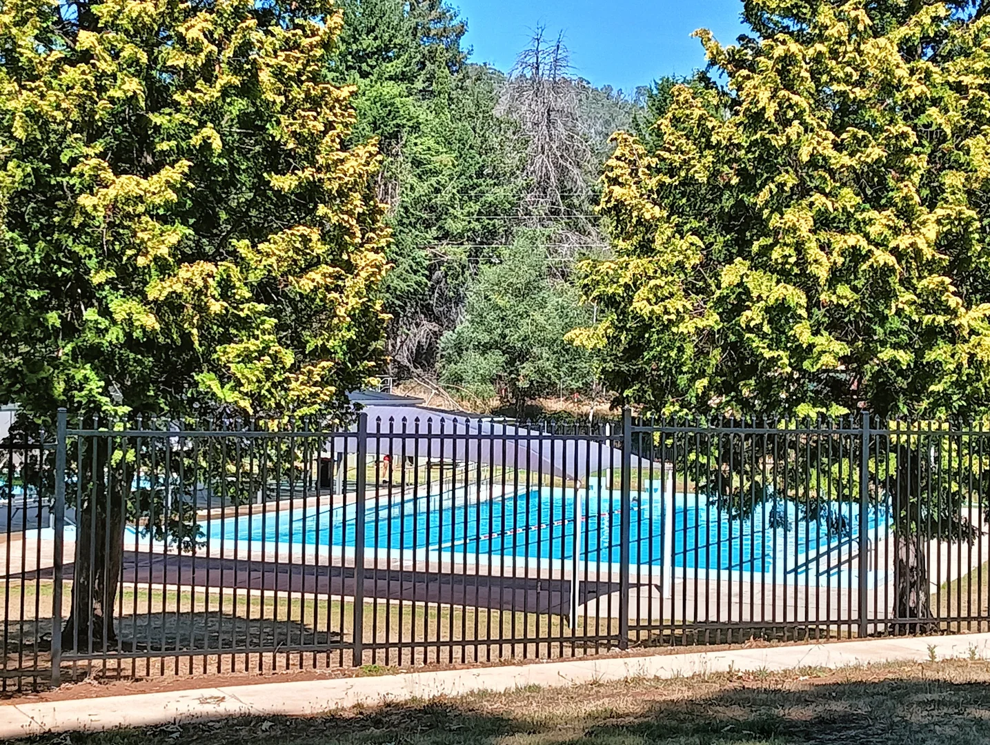 Additional image 31 of 160 Keenans Road, Batlow NSW 2730