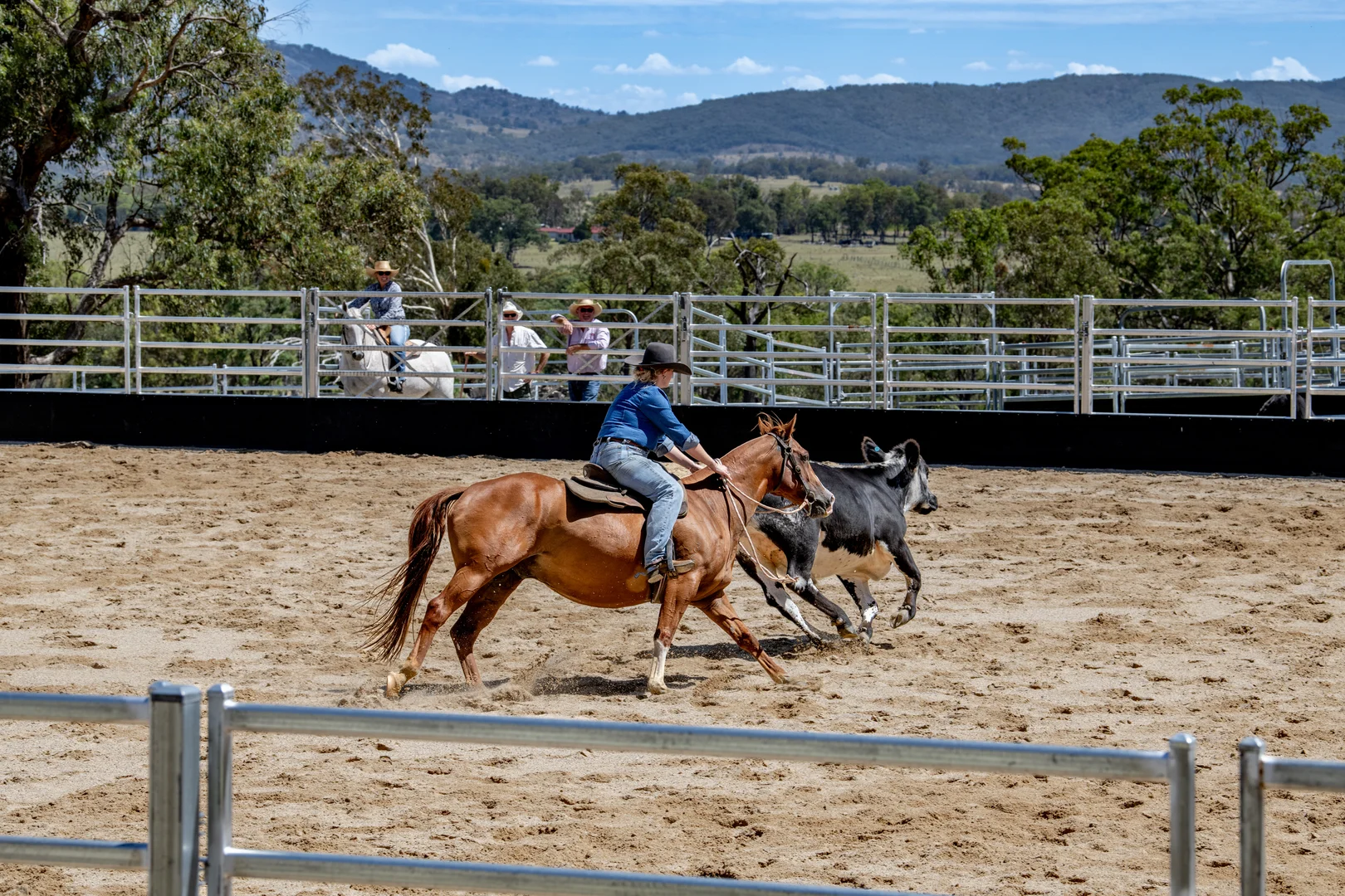 Additional image 7 of 1166 New England Highway, Tenterfield NSW 2372