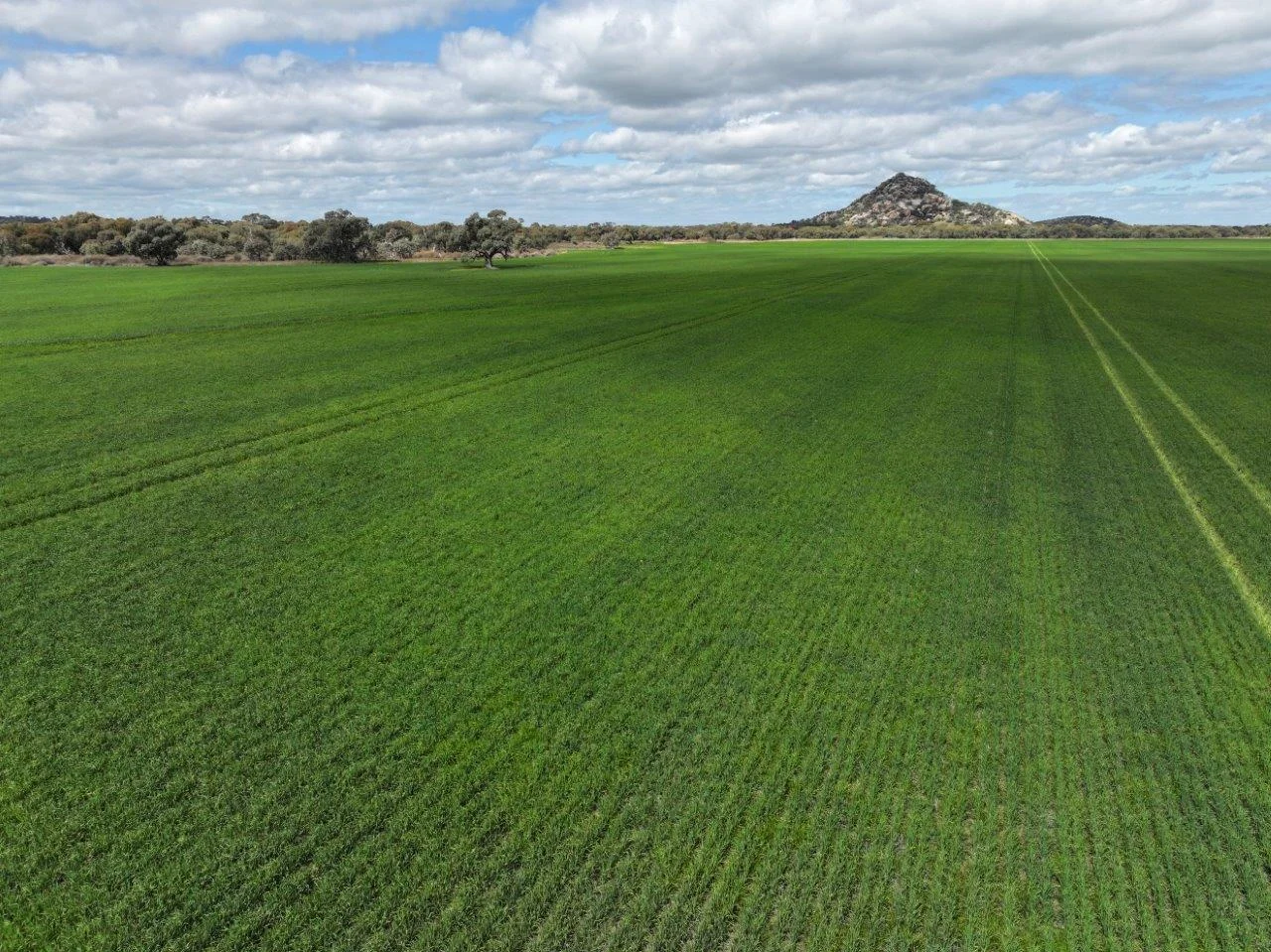 Additional image 14 of - Oneil Street, Pyramid Hill VIC 3575