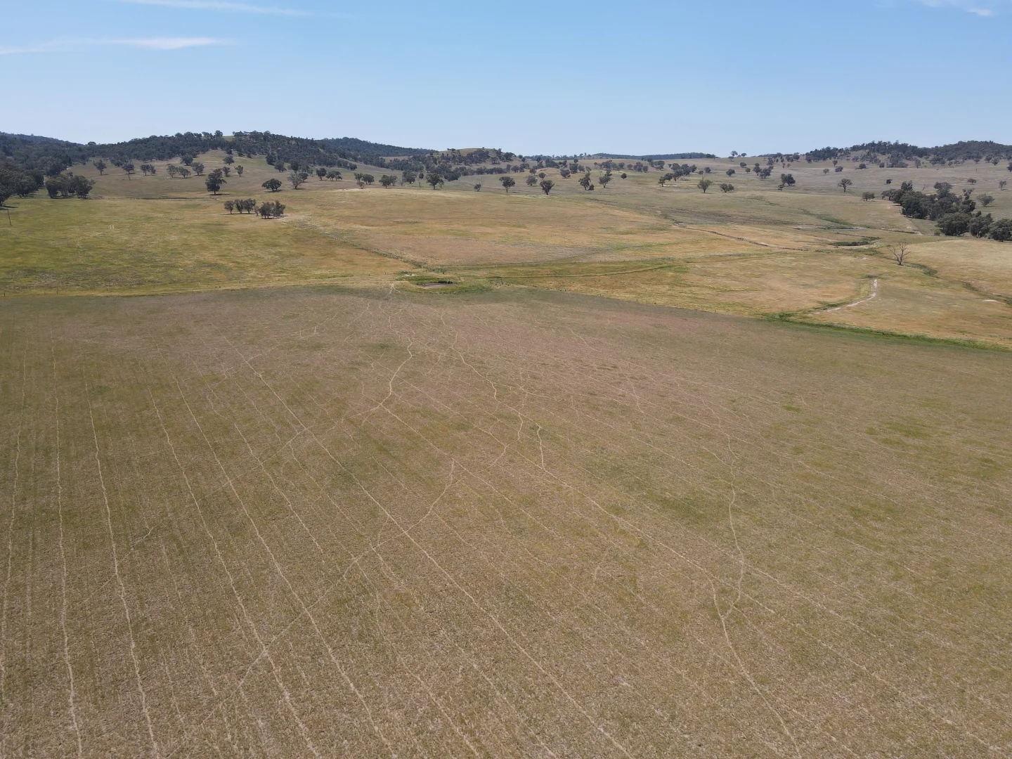 Additional image 20 of "Babynda" 829 Eulimore Road, Eugowra NSW 2806