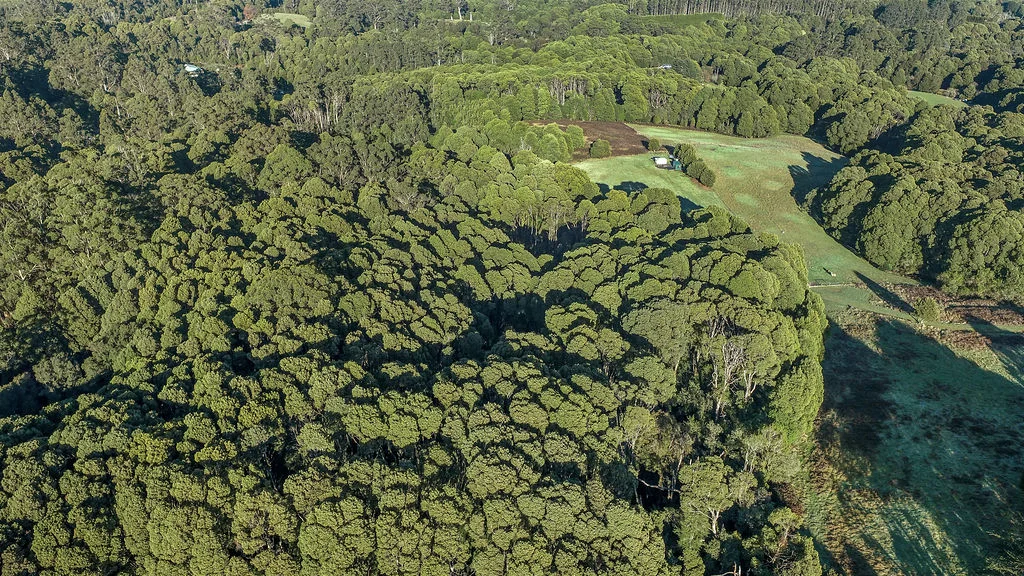 Additional image 12 of 33-39 Great Ocean Road, Lavers Hill VIC 3238
