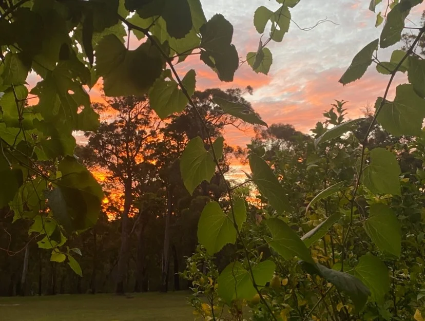 Additional image 26 of 3 Sylvia Court, Mallacoota VIC 3892