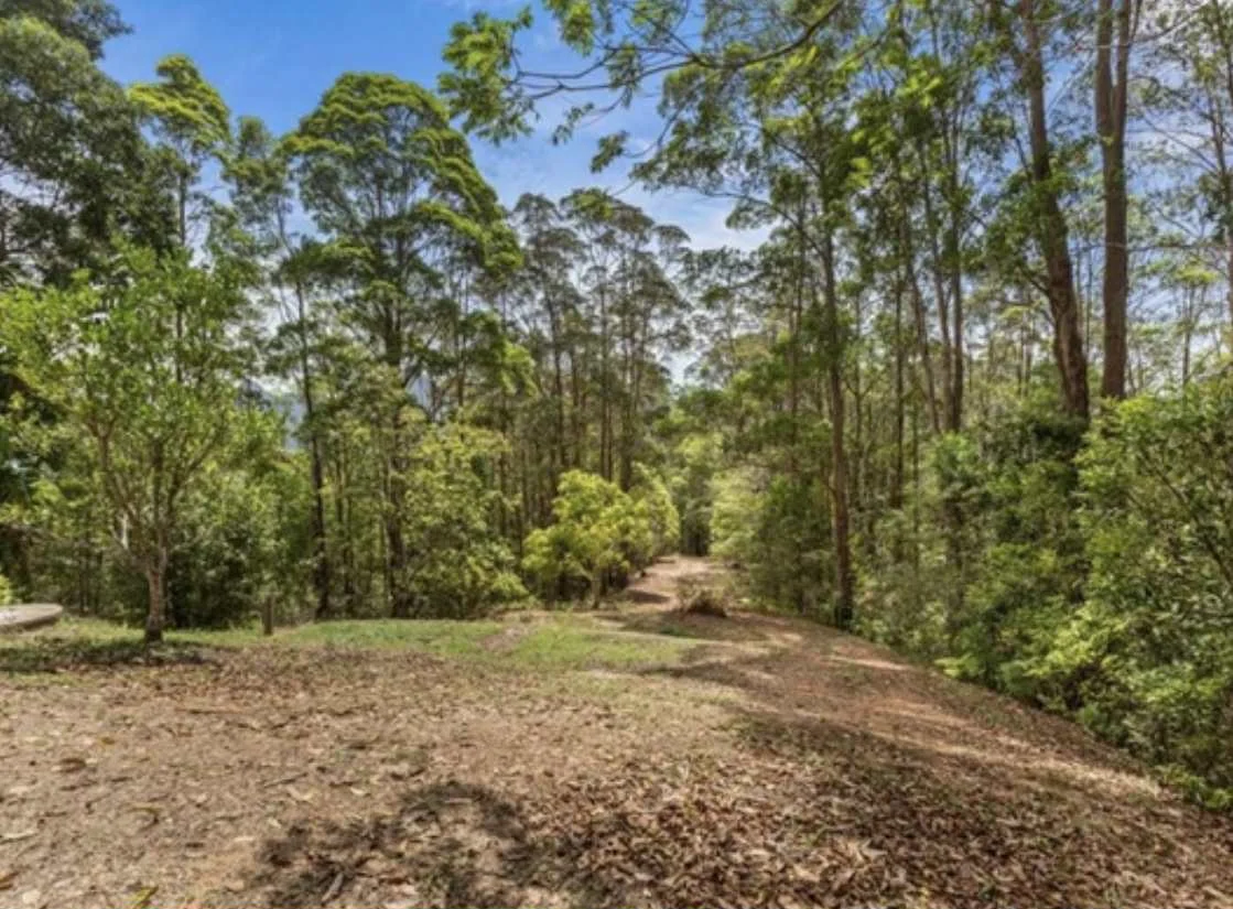 Additional image 6 of Uki NSW 2484