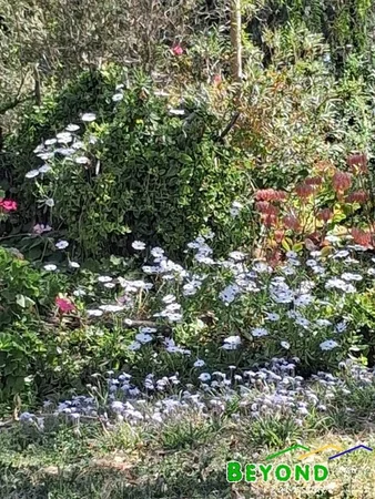 Additional image 16 of 836 Newell Highway, Gilgandra NSW 2827