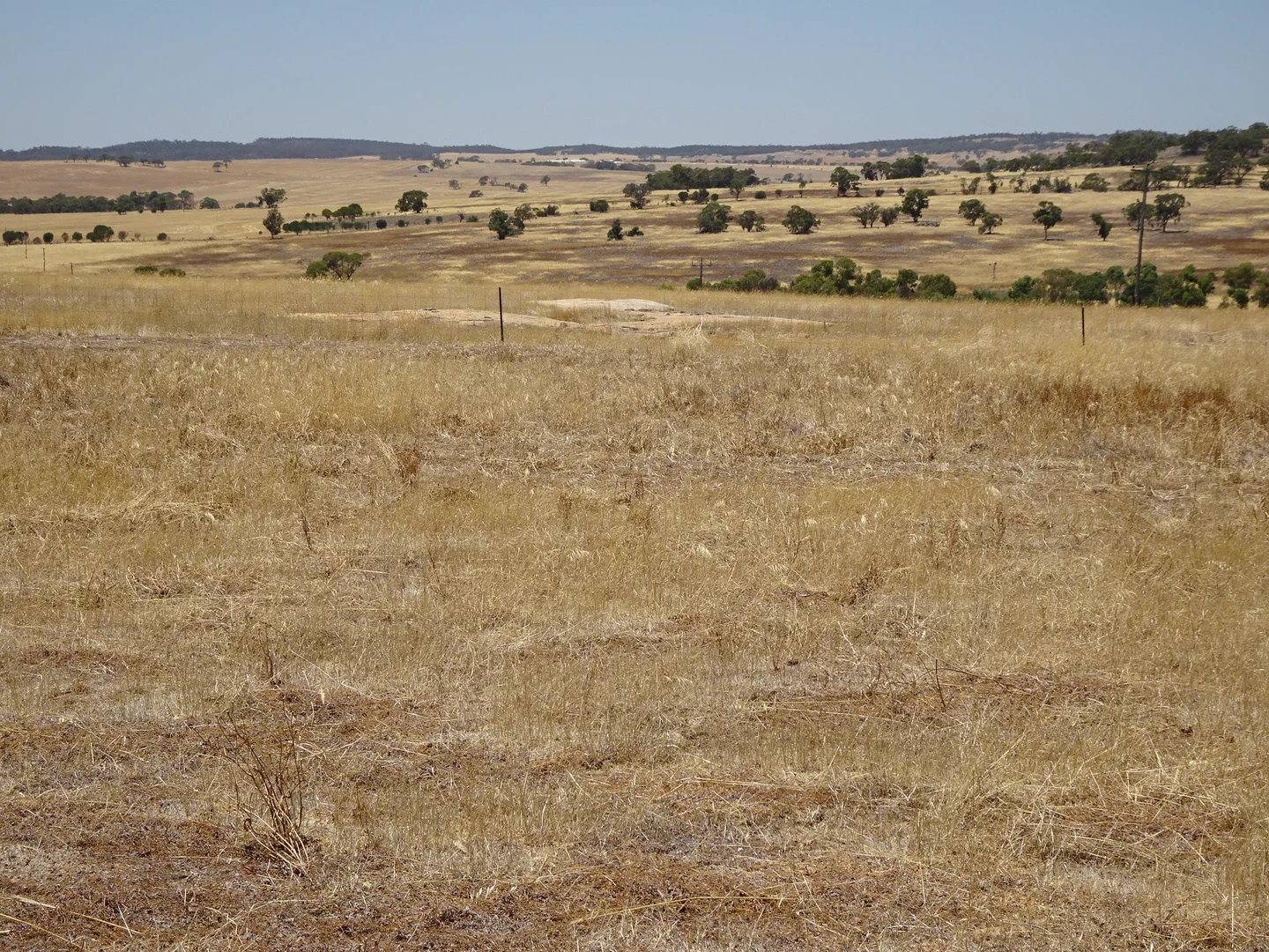 Additional image 7 of 160 Chittleborough Road, Brookton WA 6306