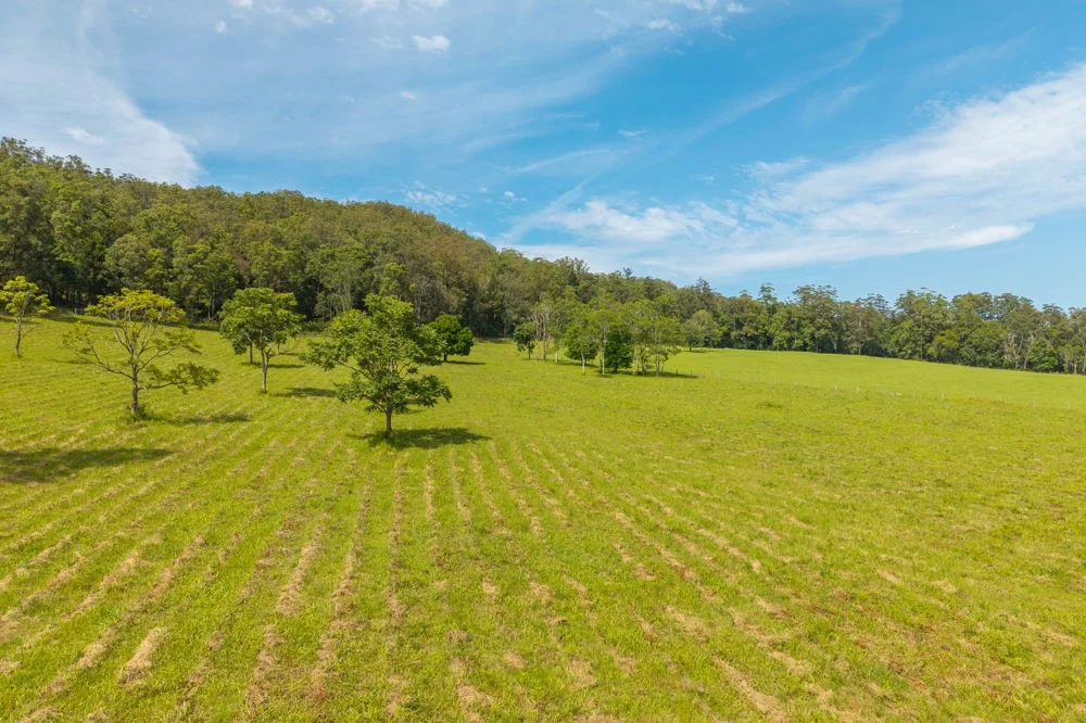 Additional image 12 of 870 Darkwood Road, Thora NSW 2454