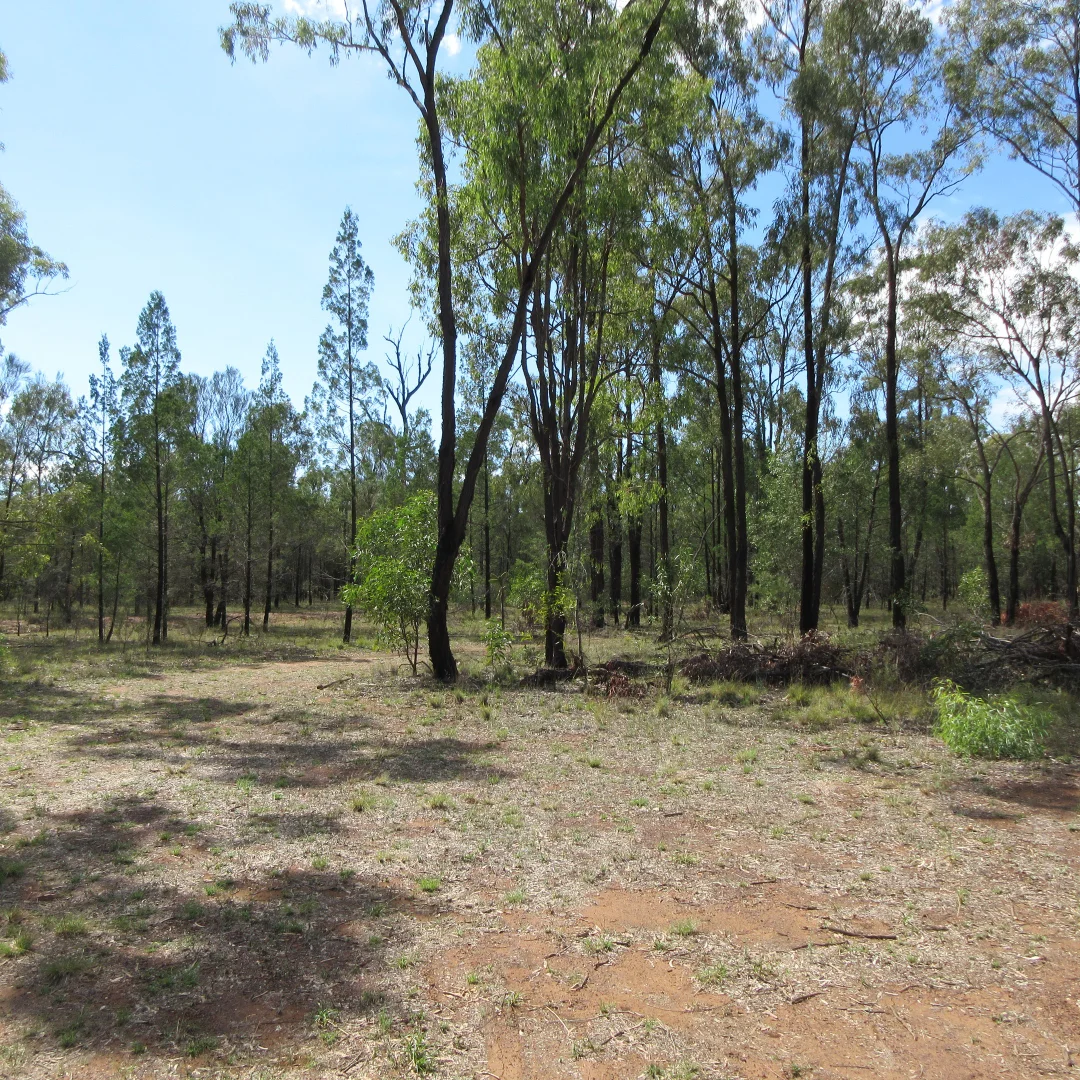 Additional image 16 of Tara QLD 4421