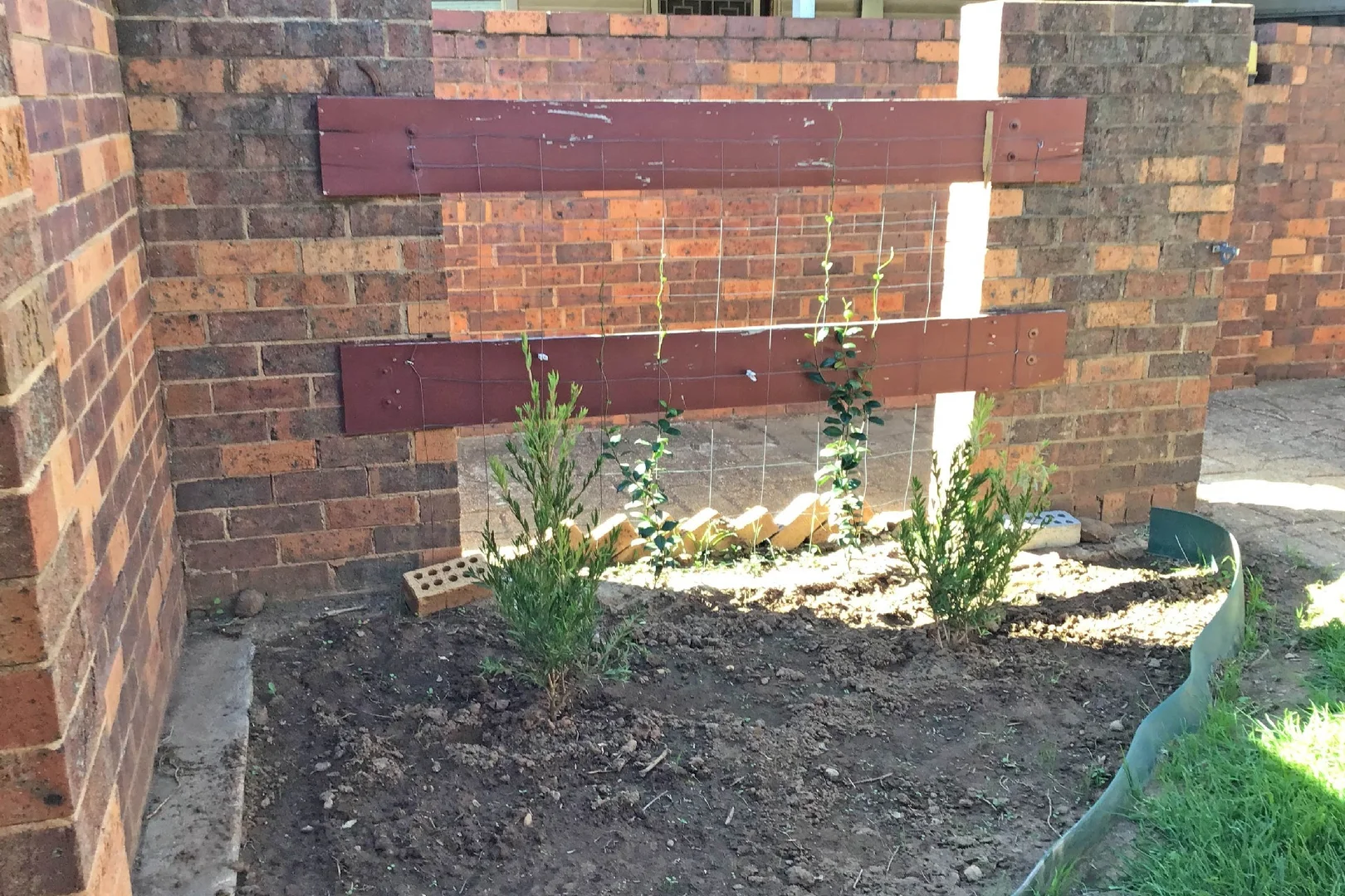 Additional image 14 of 1-4/126 Meryula Street, Narromine NSW 2821