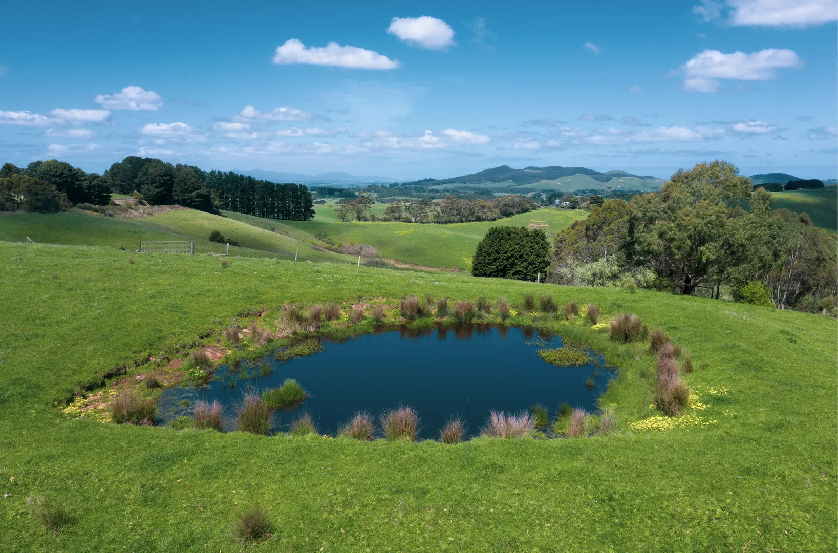 Additional image 24 of Foster VIC 3960