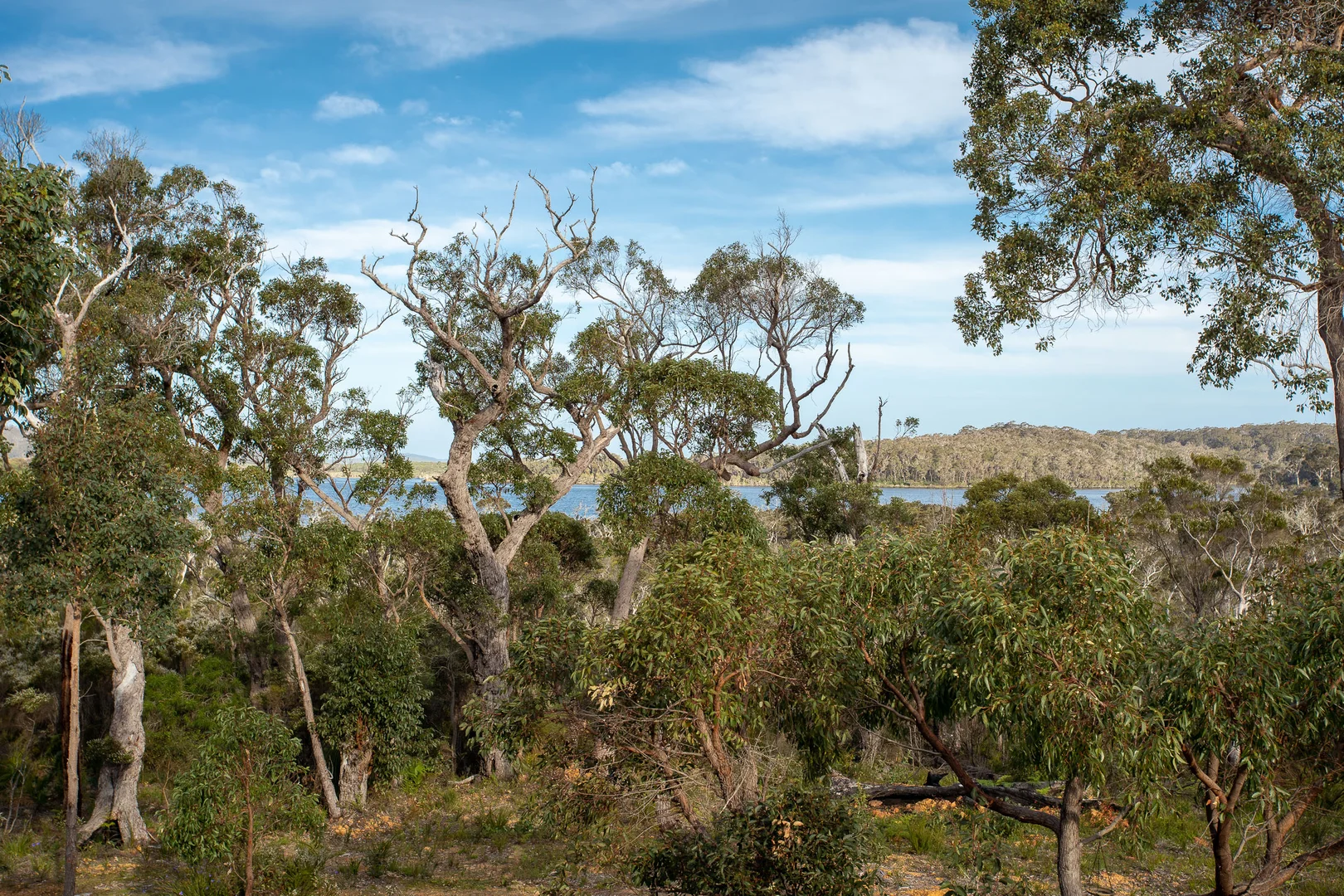 Additional image 38 of 63 karri street, Walpole WA 6398