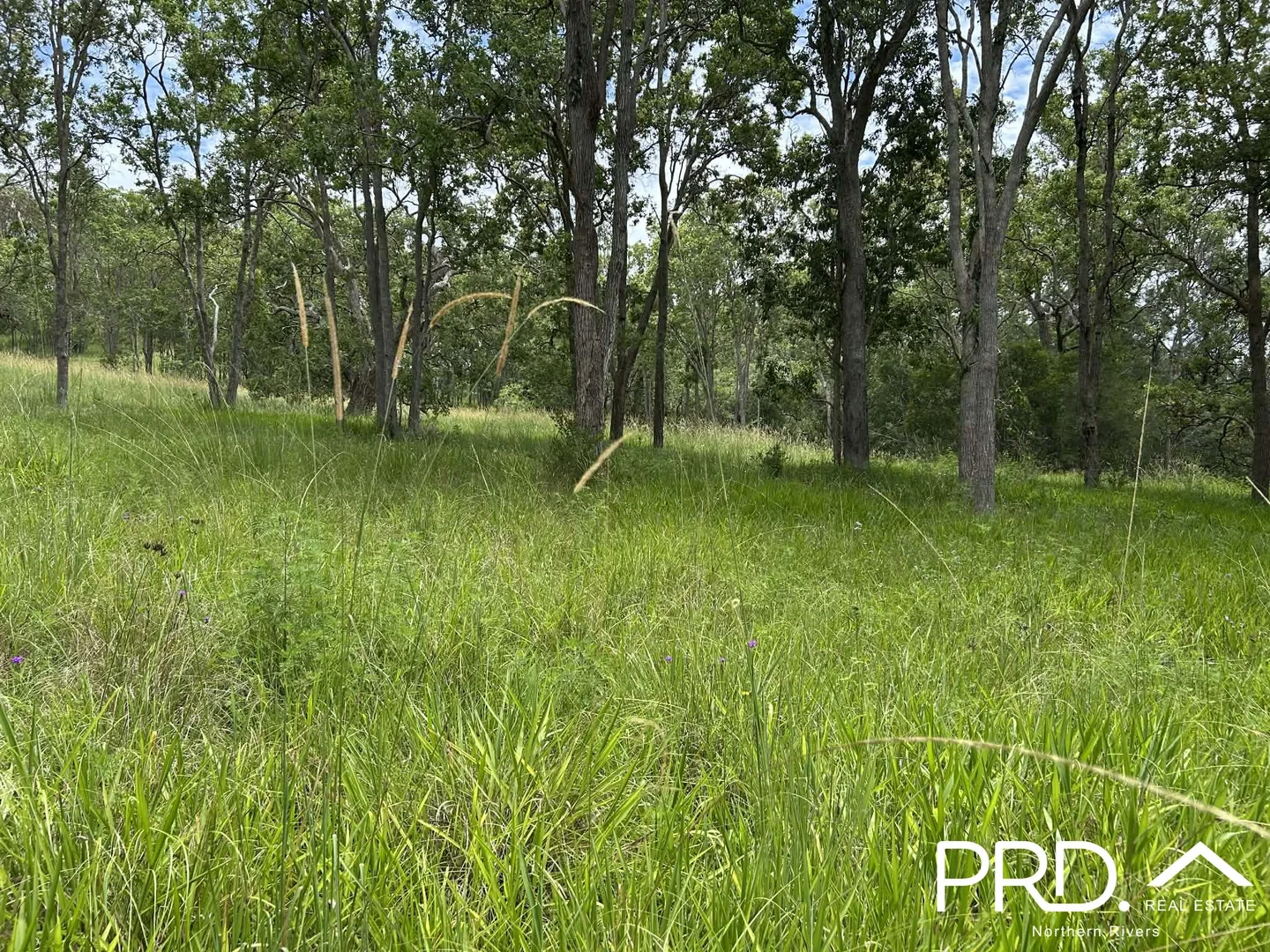 Additional image 10 of 130 Homeleigh Road, Homeleigh NSW 2474