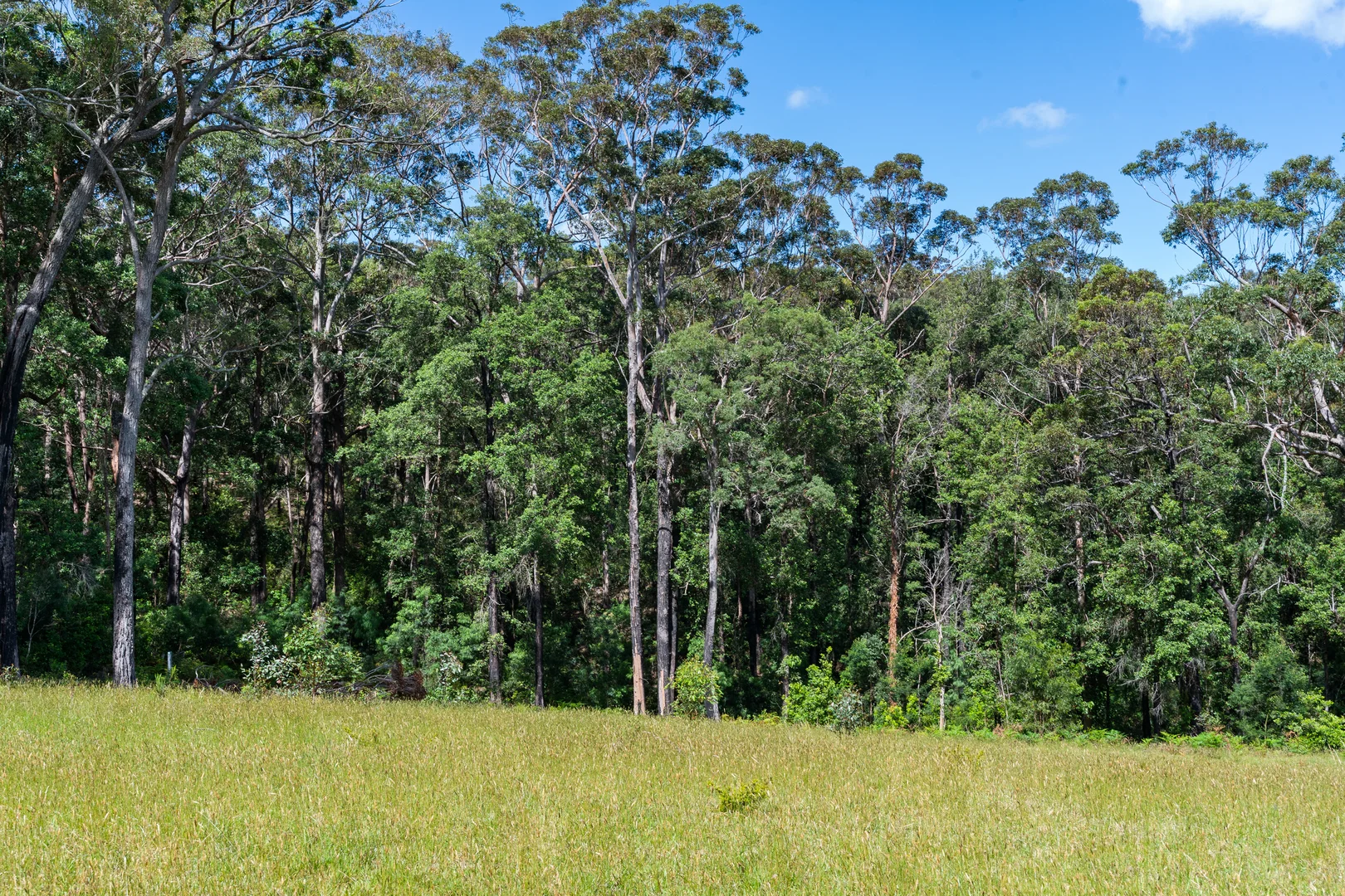 Additional image 16 of 106C Porters Creek Road, Yatte Yattah NSW 2539