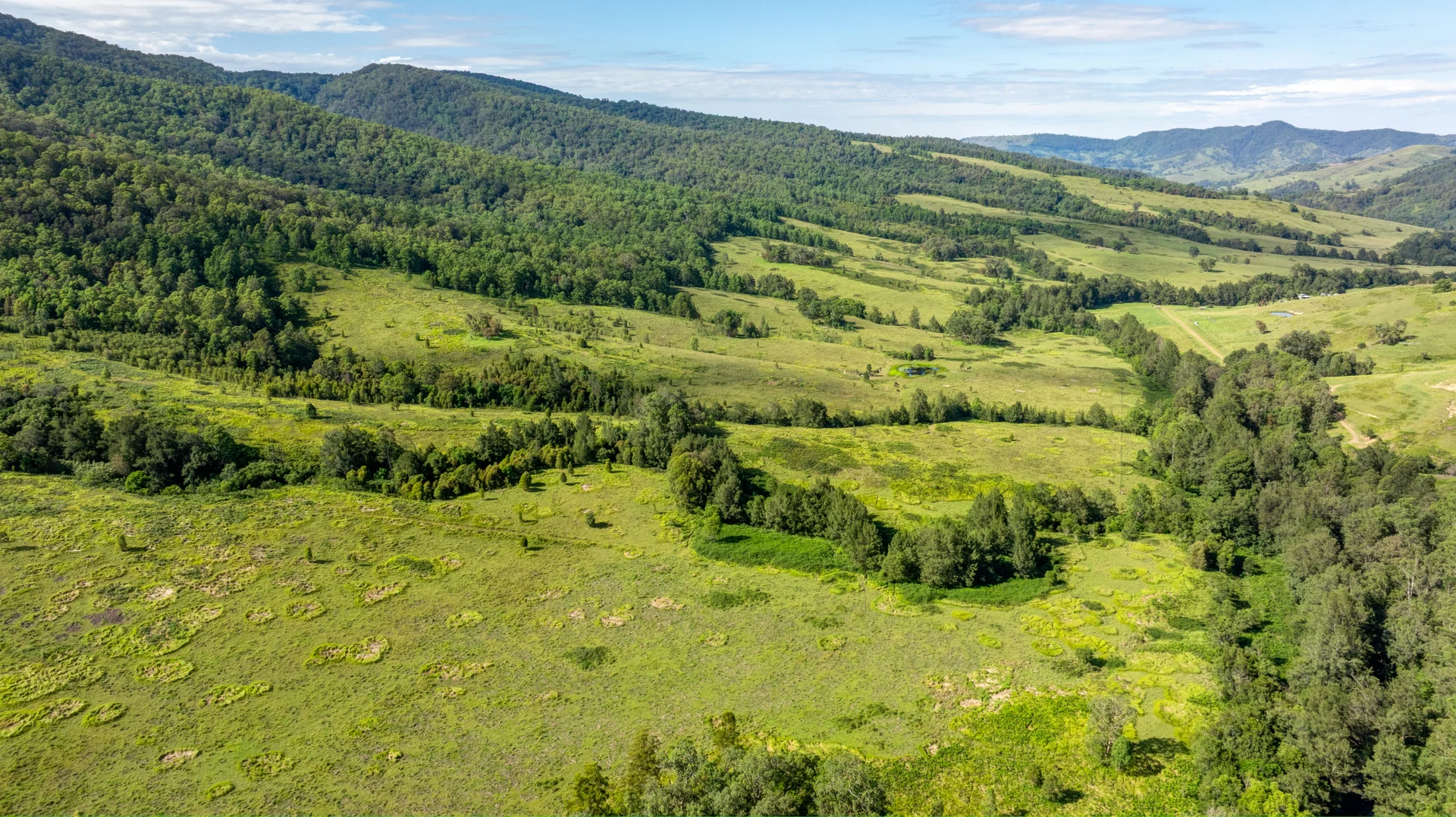 Additional image 2 of 1012 Boonabilla Road, Gresford NSW 2311