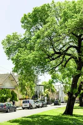 Additional image 16 of 307M/201 Powlett Street, East Melbourne VIC 3002