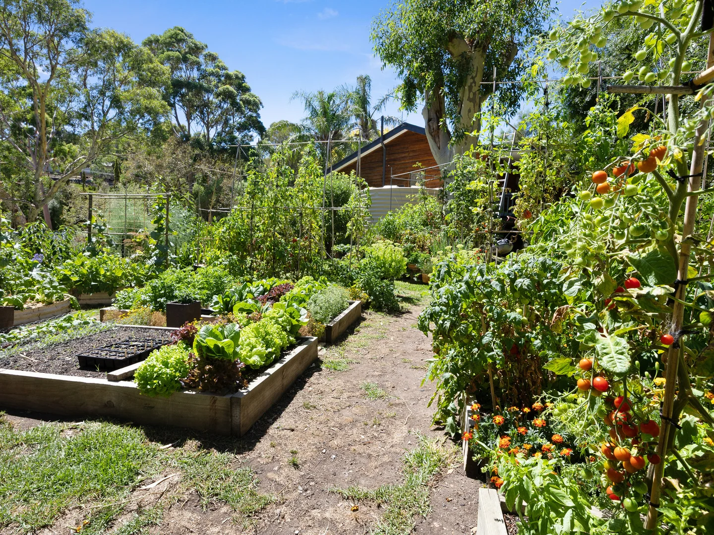 Additional image 32 of 13 Green Lane, Willunga South SA 5172