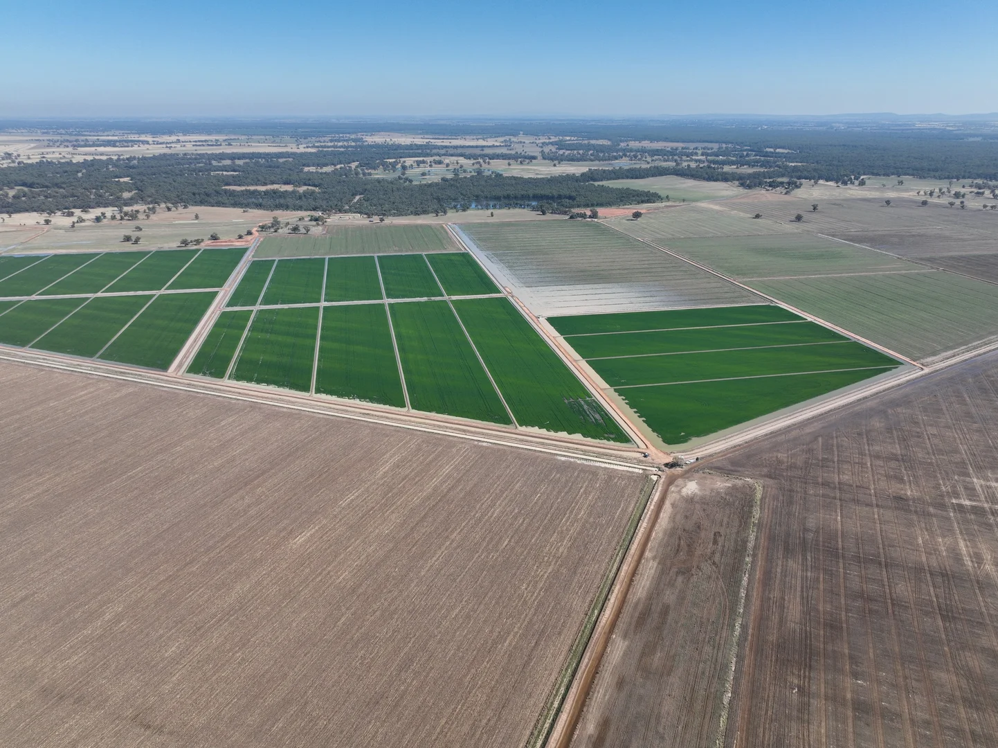 Additional image 2 of 10755 Sturt Highway, Narrandera NSW 2700