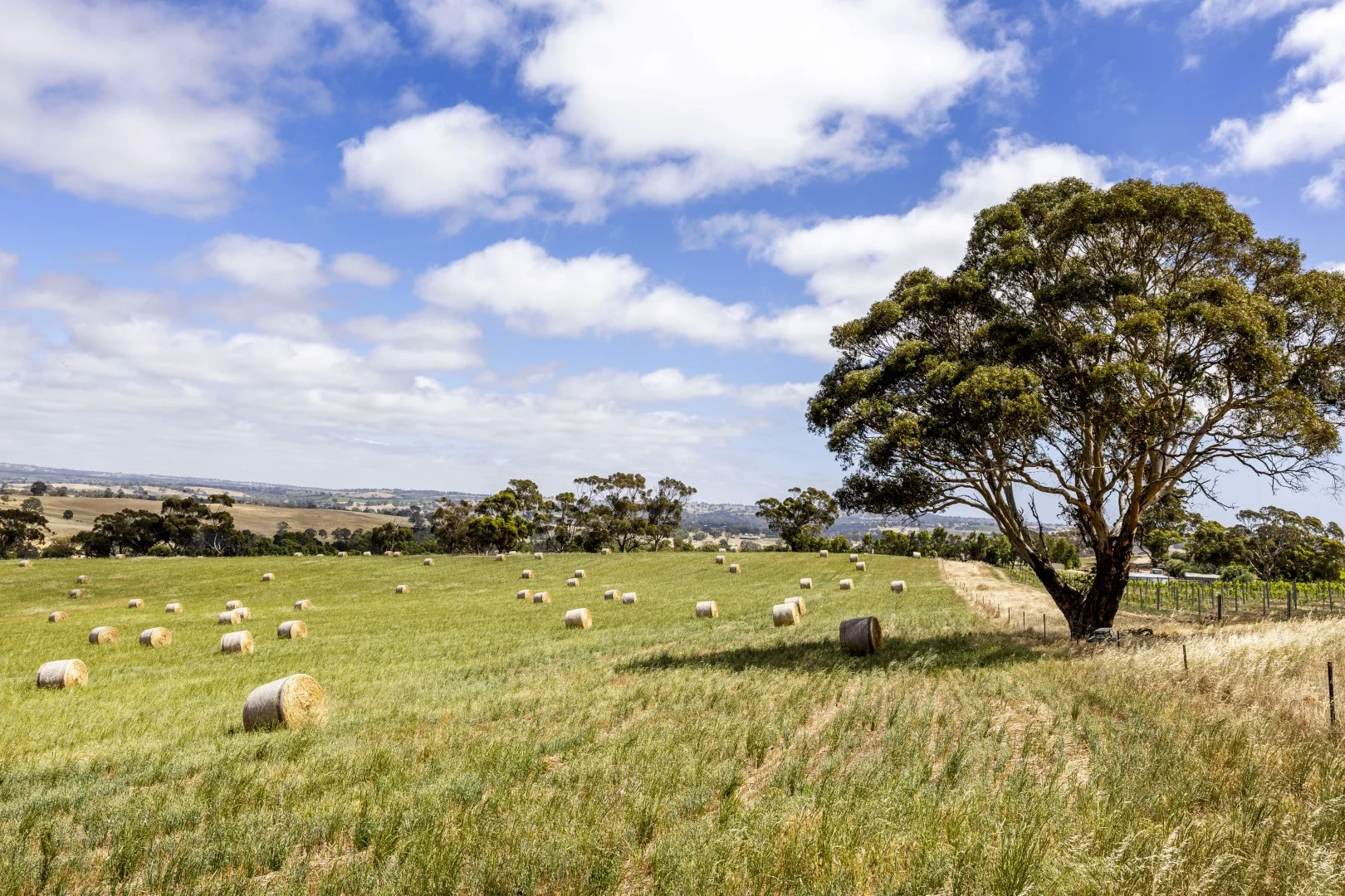 Additional image 12 of 178 Jutland Road, Springton SA 5235