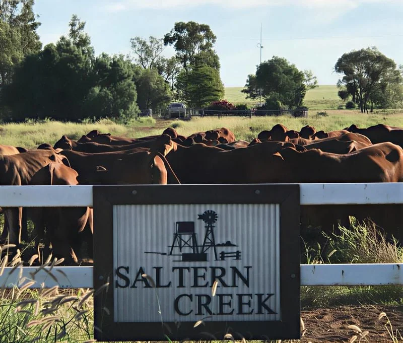 1970 Saltern Creek Road, Barcaldine QLD 4725