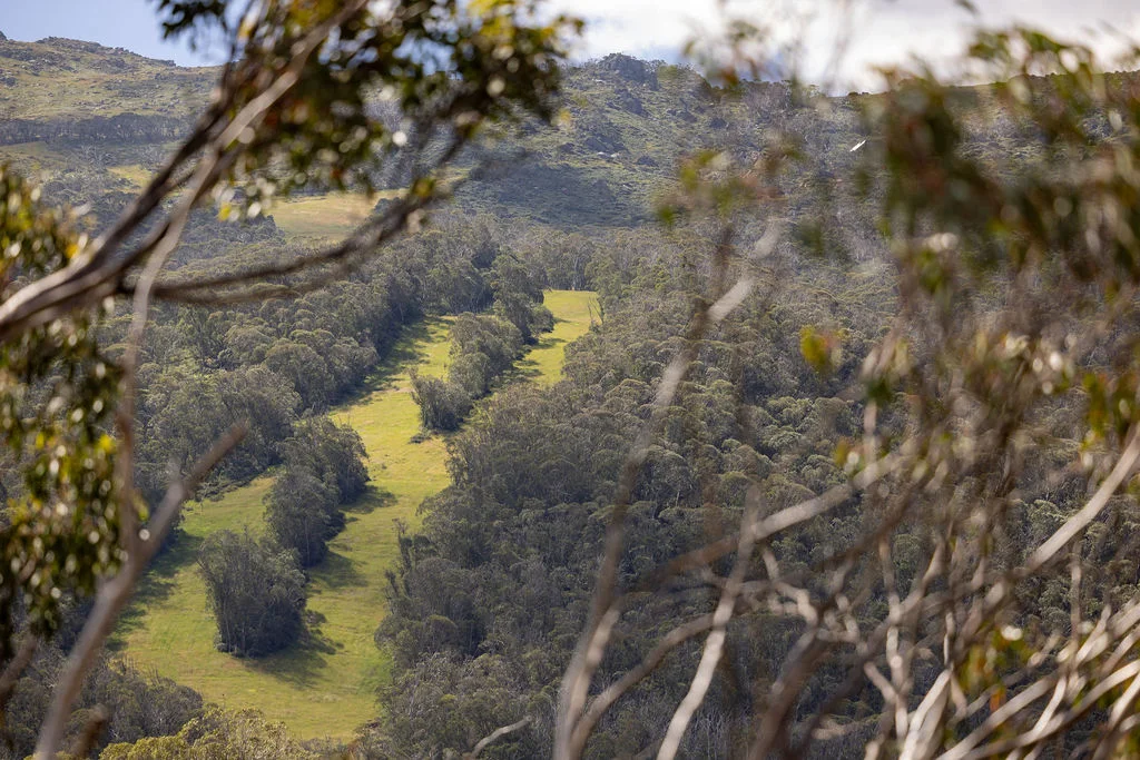 Additional image 16 of 8/5 Bobuck Lane, Thredbo NSW 2625