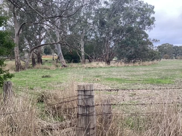 Additional image 11 of 1233 Waubra-Talbot Road, Evansford VIC 3371