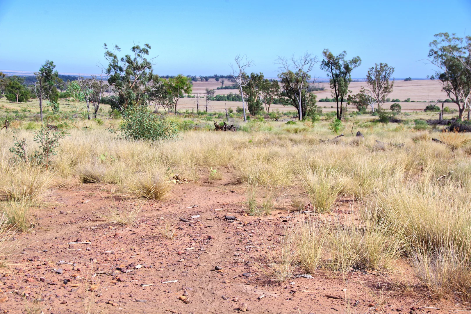 Additional image 38 of 2381. Killarney Gap Road, Narrabri NSW 2390