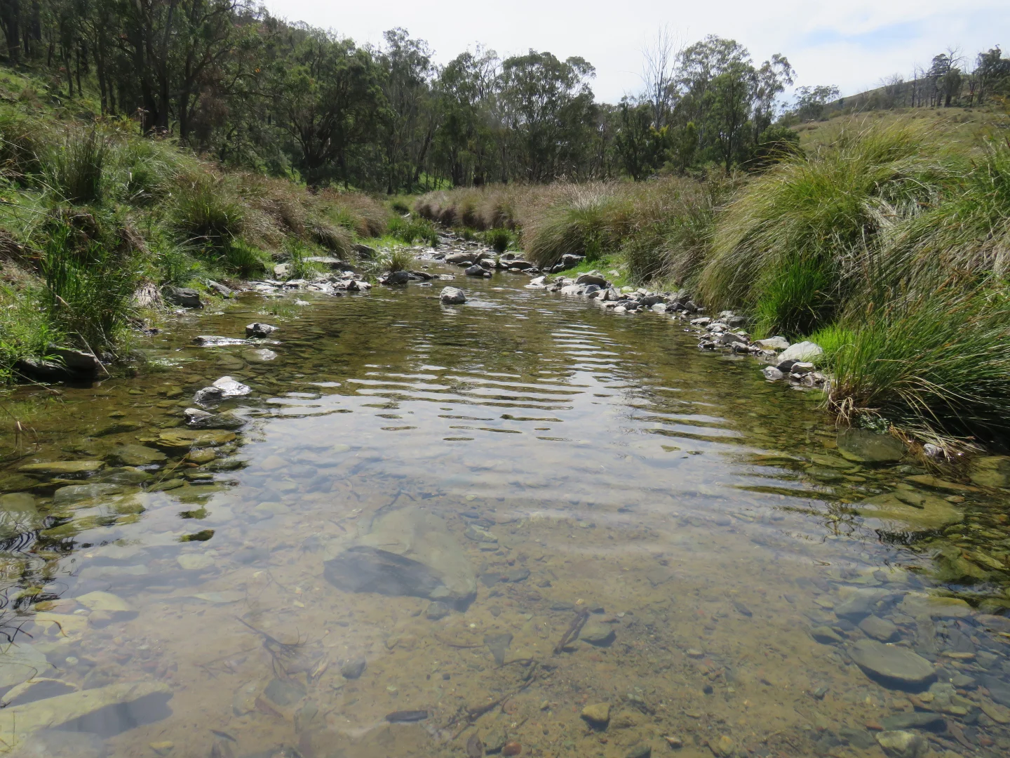 Additional image 14 of "Arawa" 2388 Campfire Road, Walcha NSW 2354