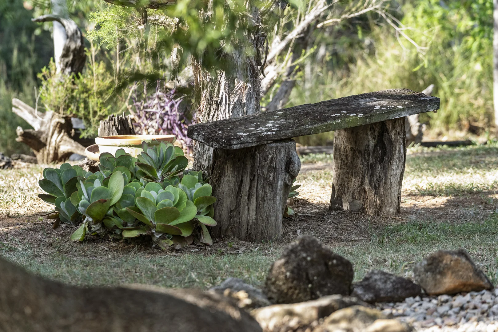 Additional image 26 of 220 Gittins Road, Postmans Ridge QLD 4352