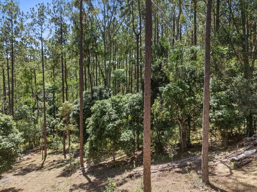 Additional image 8 of 57 Timani Road, Bollier QLD 4570