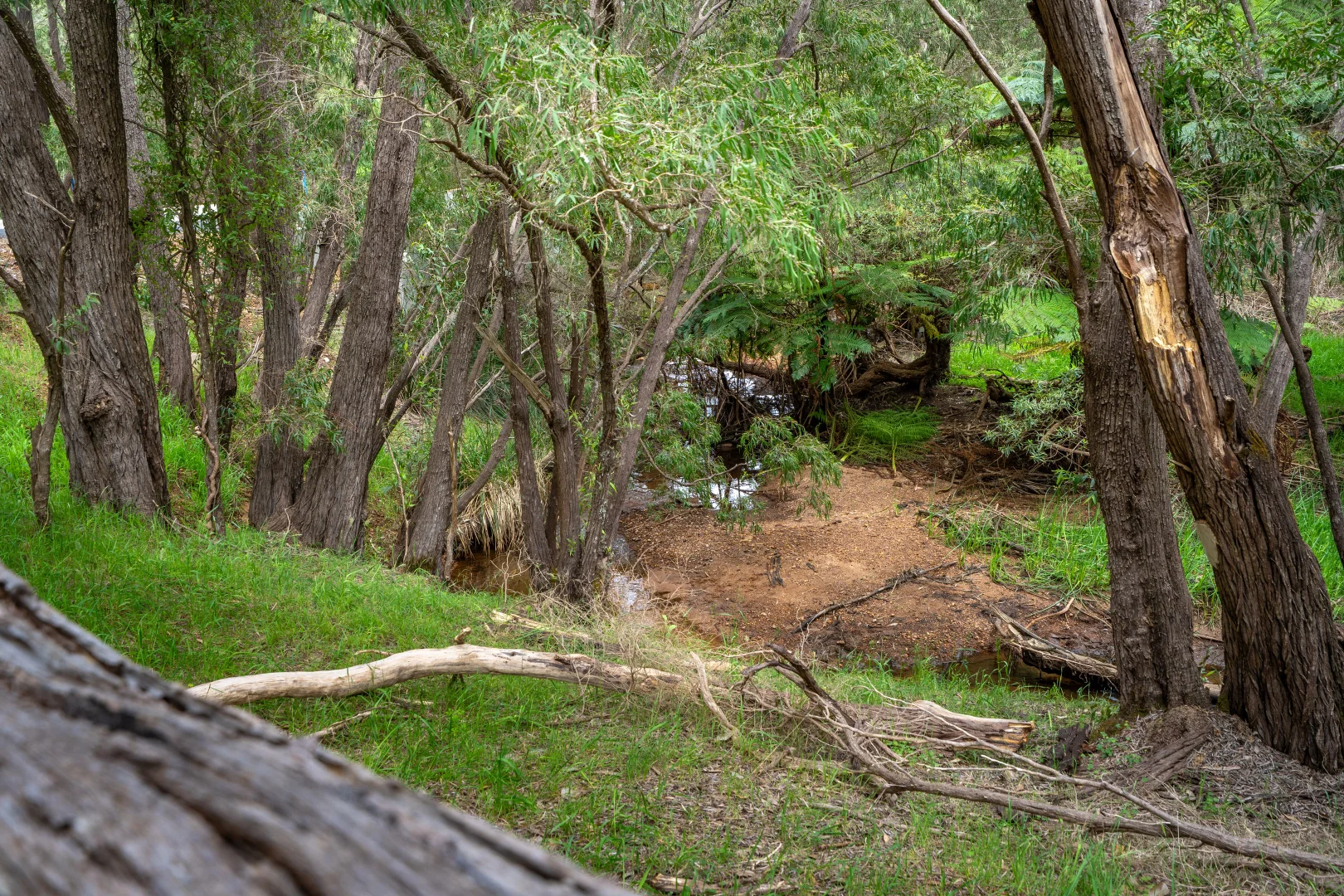 Additional image 11 of PL 603/169 Kevill Road, Margaret River WA 6285