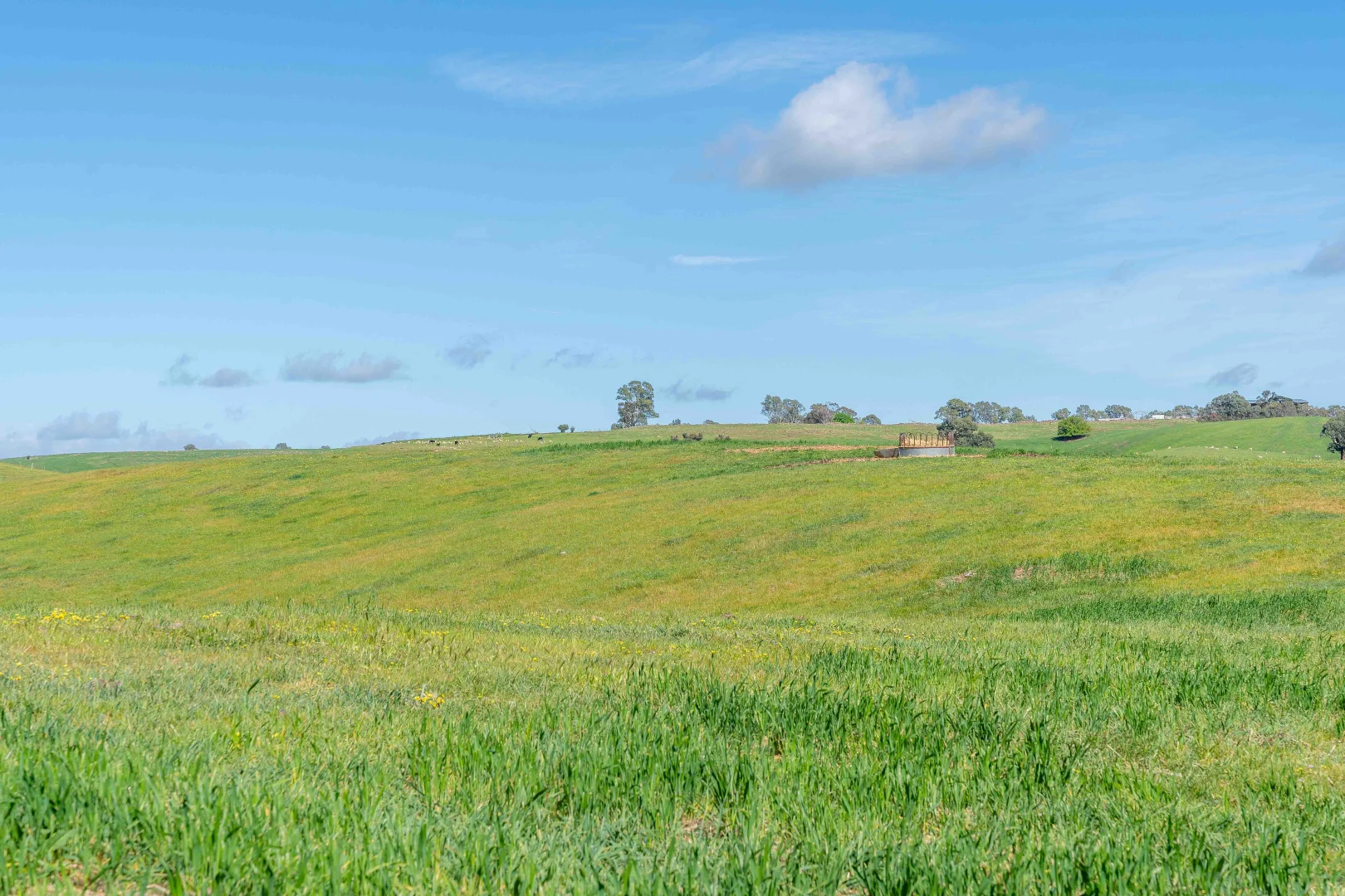 Additional image 10 of 362 Watchbox Road, Barfold VIC 3444