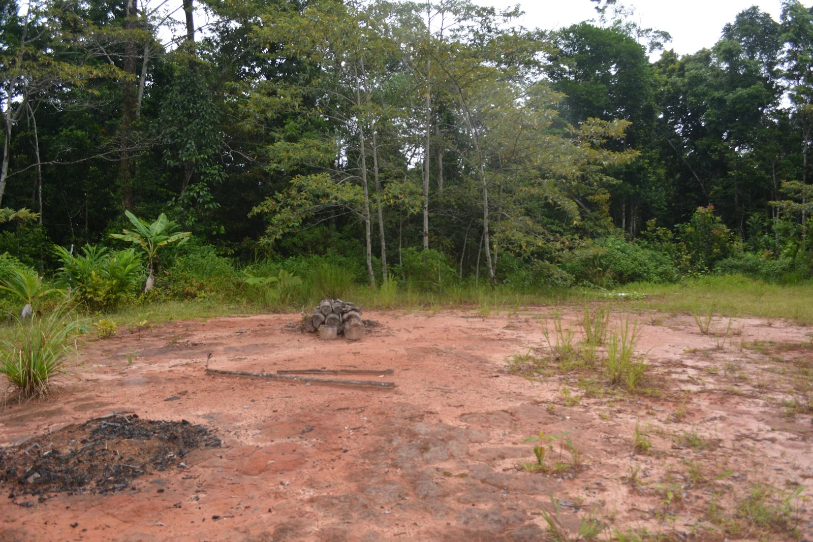 Additional image 30 of Lot 213 Kelly Road, Ellinjaa QLD 4886